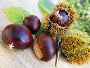 chestnuts-58410_960_720
