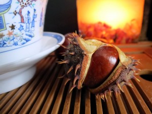 autumn-987887_960_720