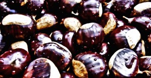 chestnuts-439089_960_720