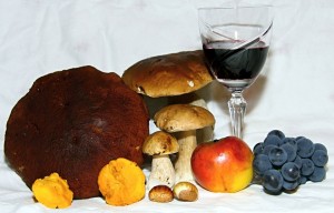 autumn-14623_960_720
