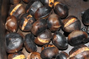 chestnut-736500_960_720