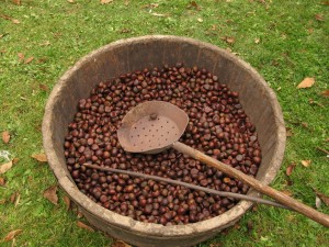 chestnut-festival-721448_960_720