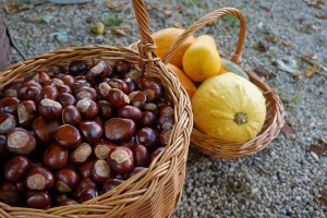 autumn-990065_1280