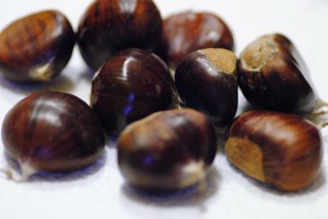 chestnut-314244_1280