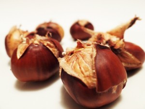 chestnut-498833_1280