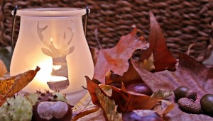 autumn-mood-1716252_1280