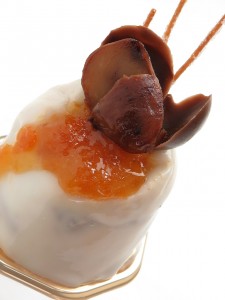 chestnut-462547_1280