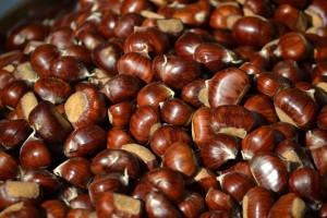 chestnuts-1400592_1280