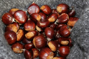 chestnuts-218781_1280