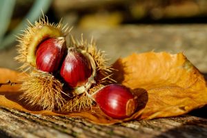 Castagne secche