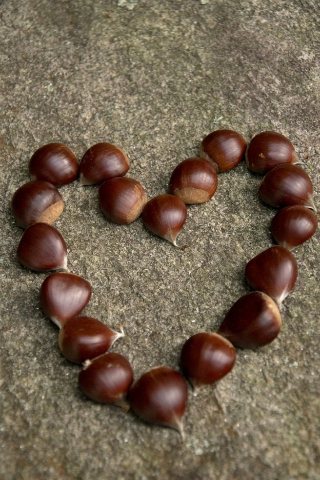 Prezzo castagne 2018