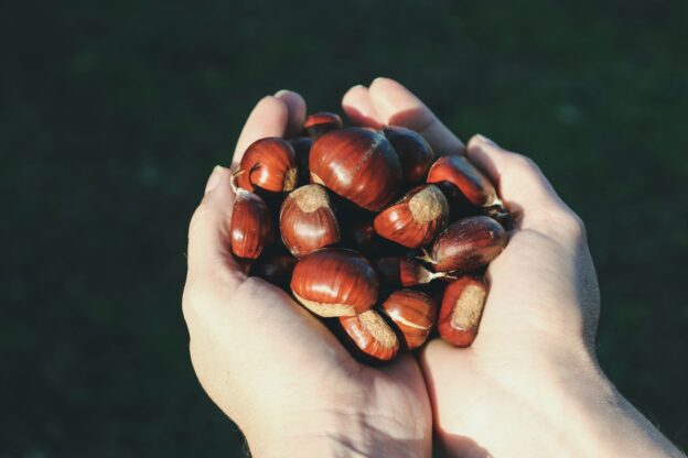 Acquisto castagne online
