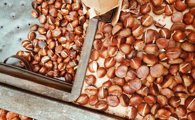 Acquisto castagne per caldarroste