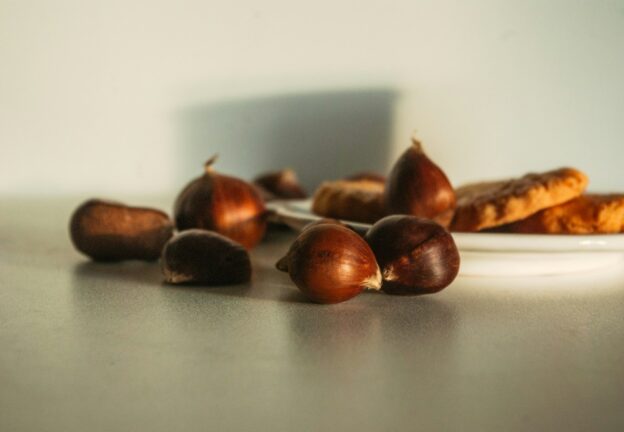 Castagne fresche in vendita