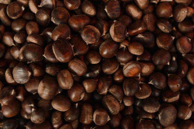 Vendita castagne italiane