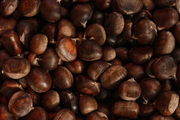 Acquisto castagne online