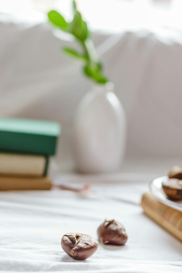 Acquisto castagne online