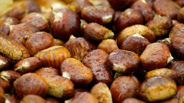 Castagne fresche in vendita